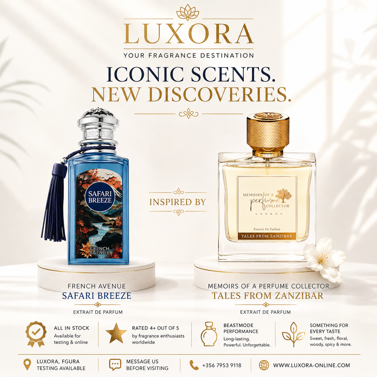 French Avenue Safari Breeze Unisex 100ml EDP Luxora