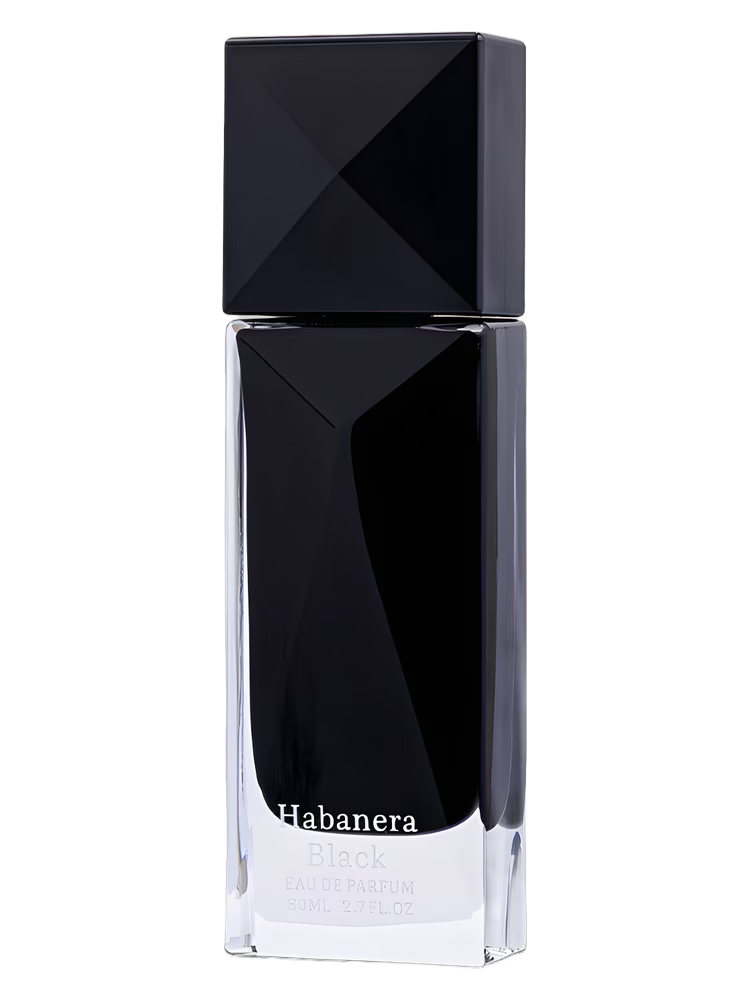 Aurora Habanera Black EDP for Men | 80ml - Luxora Luxora
